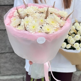 Кустовые хризантемы 